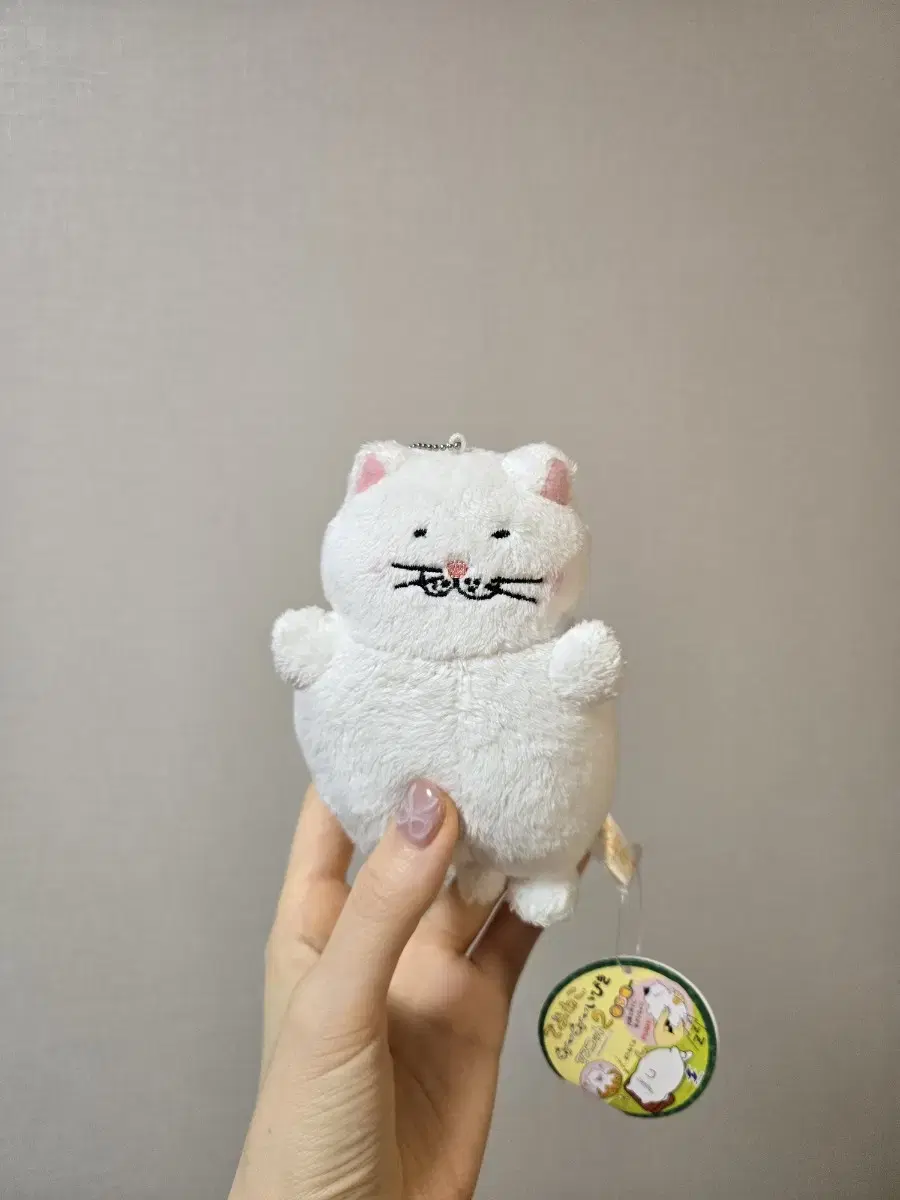 뚱냥이 인형